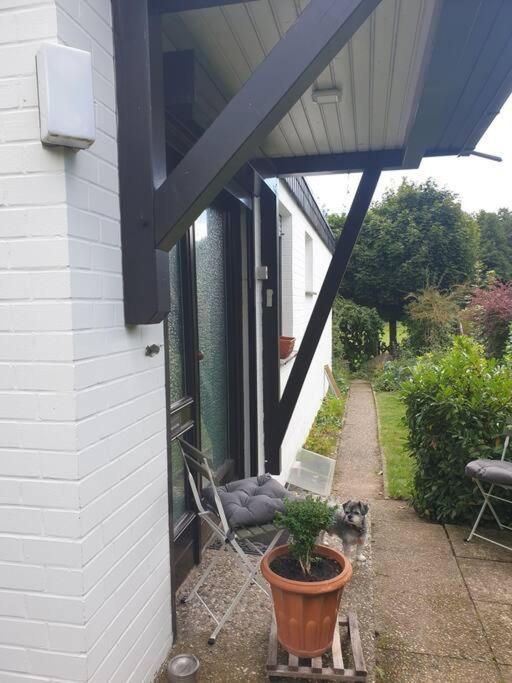 Naturnahe Wohnung Uelzen Exterior foto
